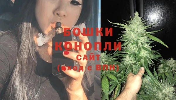 spice Алзамай