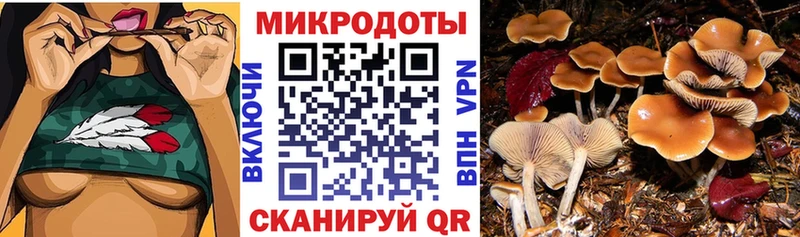 купить  сайты  Апрелевка  Псилоцибиновые грибы Psilocybine cubensis 